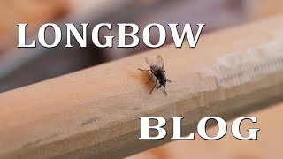 Yew English Longbow making blog, this week in the workshop