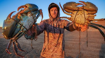 GIANT CRABS - Solo Catch & Cook - The Ultimate Camp Fire Seafood Feast!