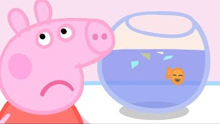 Peppa Pig Nederlands | Goudvis | Tekenfilms voor kinderen