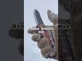 Cub MUK in the snow! Knives by Nuge Nessmuk #edc #bushcraft #winter