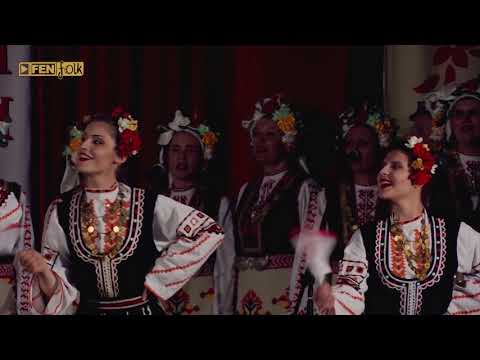 АФА ПРИ АМТИИ