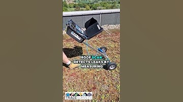 Green, Brown & Landscaped Roof Leak Detection