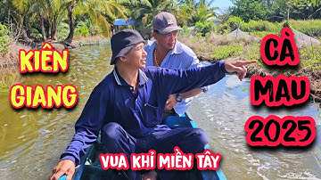 Vua khỉ vượt gần 200km xuống Kiên Giang giáp với Cà Mau để cưa hạ nhiều gốc cây Dừa.