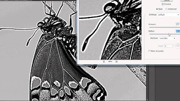 Photoshop cs6 Tutorials - Unsharp Mask & Smart Sharpen image Part2