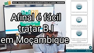 Como tratar B.I (Bilhete de Identidade) em Moçambique agendamento online Guide