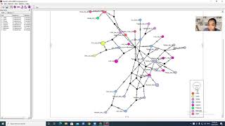 Haplotype Network using POPART (Tagalog) screenshot 4