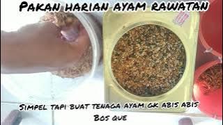 pakan ayam rawatan