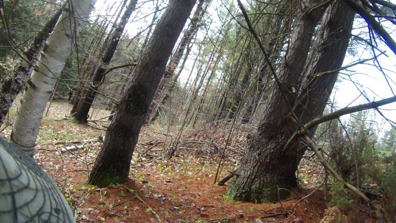 NH 2016 Spring turkey hunt - YouTube