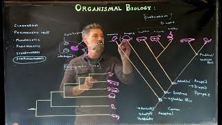 Comparing Phylogenetic trees and Cladograms