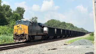 CSX Coal train meets MOW equipment at Pine
