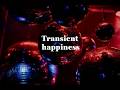 DOPING PANDA - Transient happiness(arranged cover)