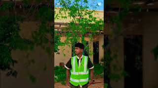 #dreamdubai #foryoupage