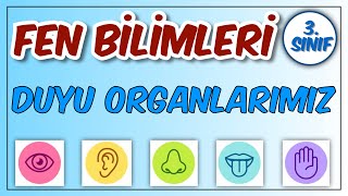 3. Sınıf Fen Bilimleri Beş Duyu Organımız Görevleri Ve Sağlığı Konu Anlatımı 2. Ünite