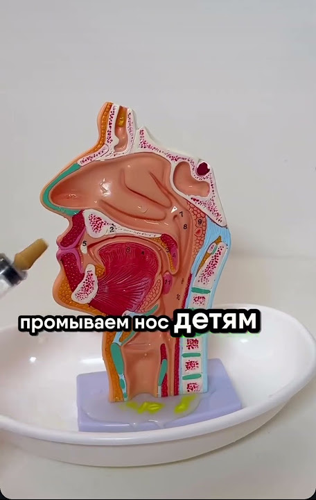 Nasos bilan mushukimni pompalayapman (video)