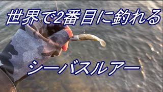 世界で2番目に釣れるシーバスルアー コアマンRJ