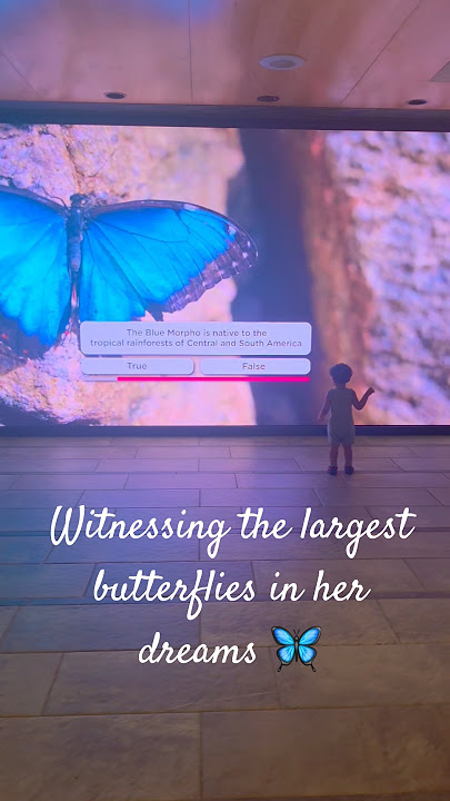 Watching the largest butterflies in her dreams 🦋🧿 #butterfly #park #baby #dream #favorite #trending