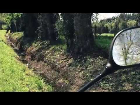 Camino las Quemas Osorno