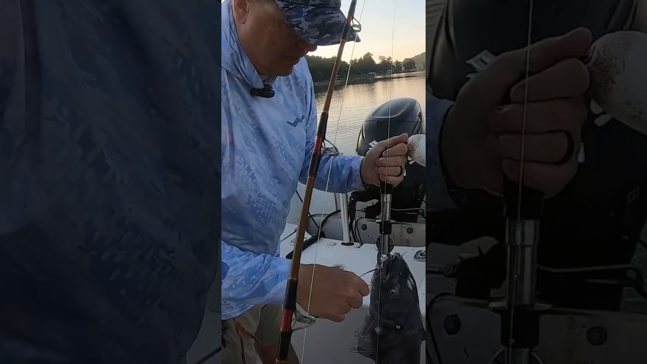 The fishing is slowly getting better and better, but man it’s hot!!