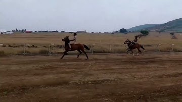 Traditional horse racing_oLundi 12/10/2025