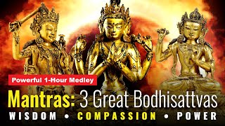 Wisdom Compassion & Power Mantras: the Thee Great Bodhisattvas 1 Hour Sanskrit chanting