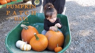 HoltFamilyVlog 10162014: Pumpkin Patch Day!