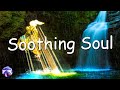 Relaxing Sleep Music: Deep Meditation Music, Bird sounds , &quot;Soothing Sounds of Nature&quot;