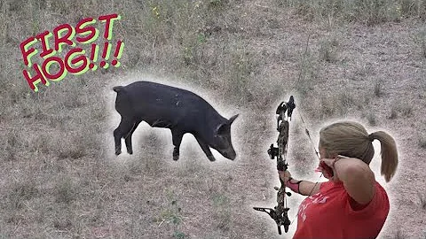 My Wife's First Wild Boar With A Bow! | Bow Hunting Wild Boar | #hoghunting #bowhunting