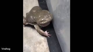 The best of the Internet 2019