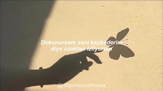 Bts - Erfly Türkçe Çeviri