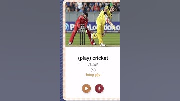 Từ vựng về thể thao Phần 1