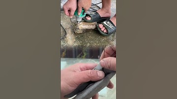 Tạo rãnh đá ghép cây bonsai #shorts