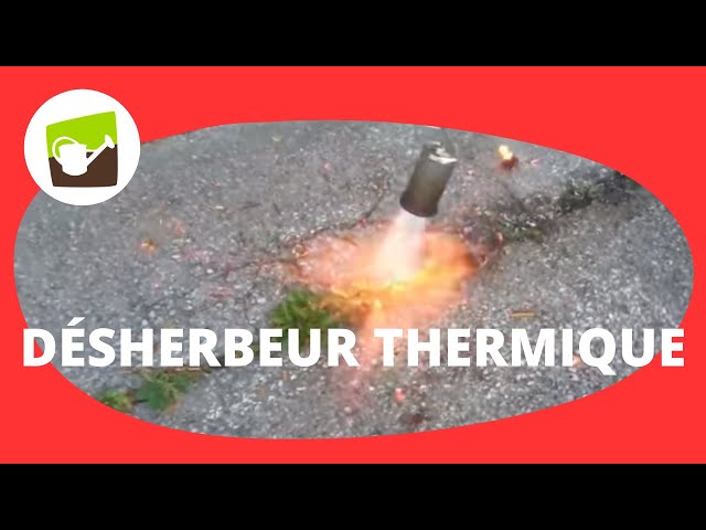 Kit Brûleur à Propane Pour Désherbage - Lance Flamme Avec Tuyau - Pour Toiture, Neige, Enlèvement Peinture - 6