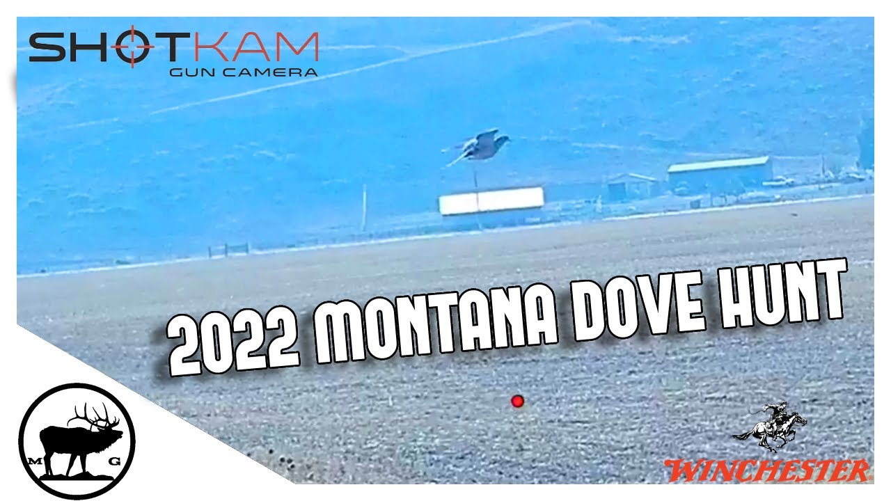 2022 Montana Dove Hunt YouTube