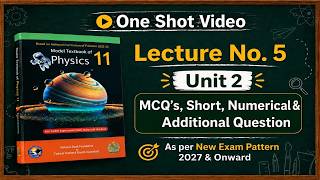 Class 11 Physics Unit 2 Vectors | Assignment 2.1, 2.2 & 2.3 | MCQs | Short Questions | Numericals