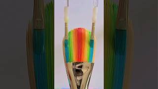 Diy Rainbow Paintbrush 🖌 #Art #Artwork #Painting #Drawing #Satisfying #Artist #Diy #