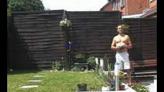 Buzzfly In The Garden