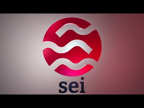 PROSPEK TOKEN SEI DI 2 BULAN TERAKHIR TAHUN 2024 DAN MELIHAT PERKEMBANGAN GRAFIK TOTAL3 & OTHERS