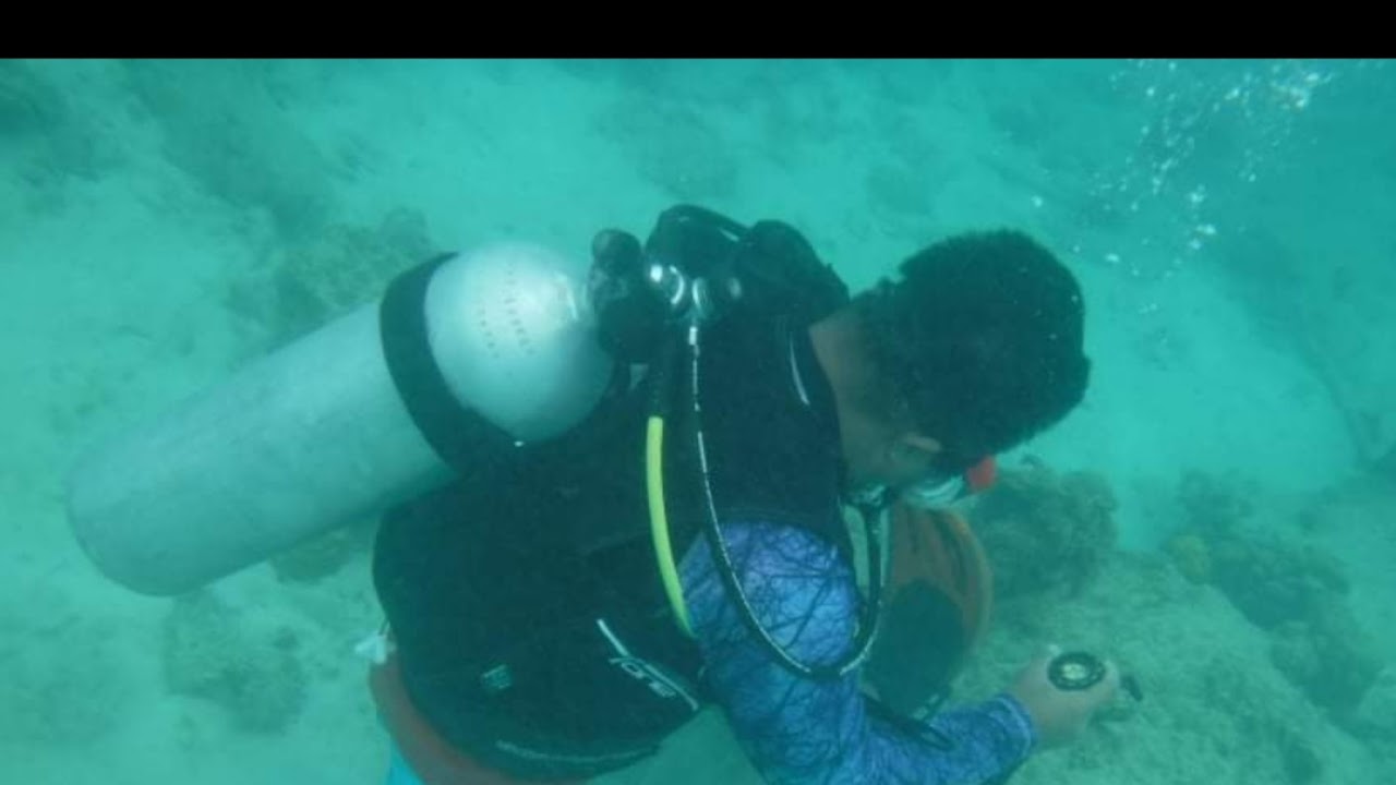 Tapwar Play To Earn...