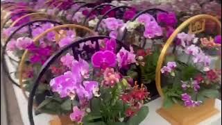 a9ae165876a2b38d8e08f8702f4aba64