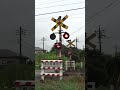 両矢印点くと・・・？ #踏切 #shorts