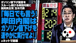 【二重課税も問題】ガソリン値下げ提言をスルーし続ける岸田内閣に国民民主党 玉木代表「毎日でも言う！岸田内閣はガソリン値下げを速やかに実行せよ！」が話題