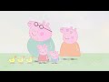 Peppa Pig | Sisli Bir Gün |  Programının en iyi bölümleri | Çocuklar için Çizgi Filmler