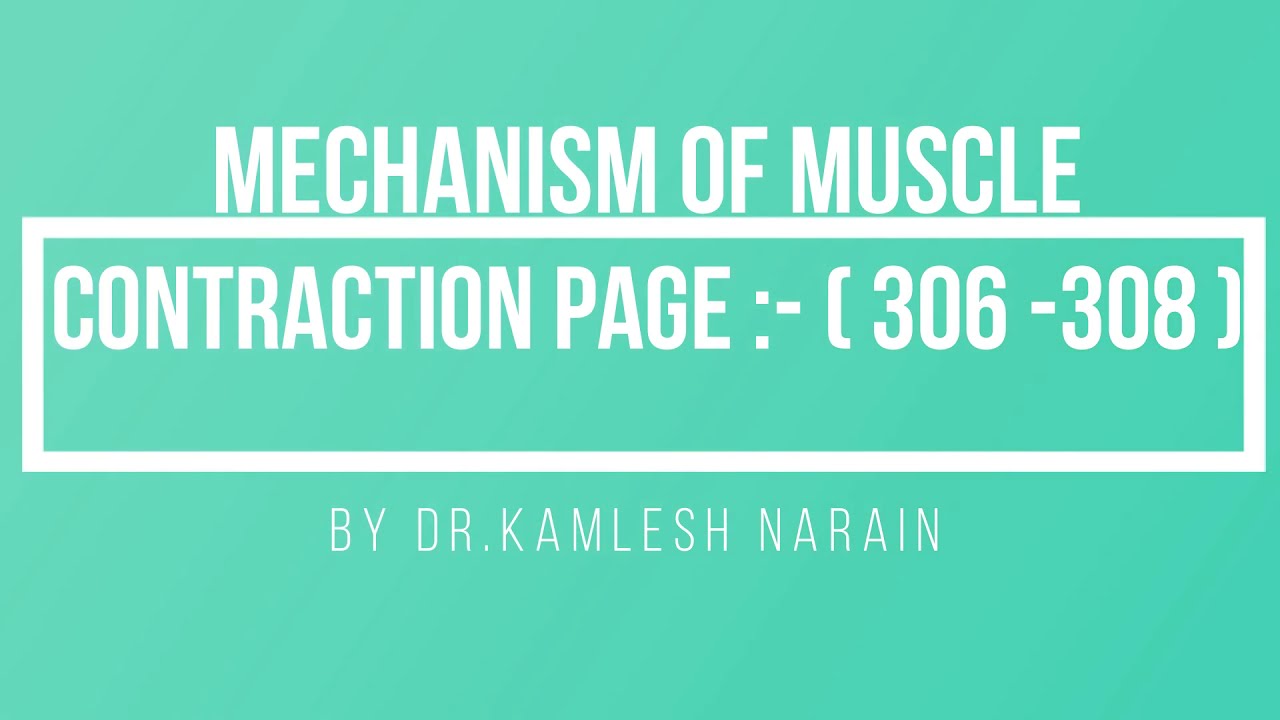 MECHANISM OF MUSCLE CONTRACTION - YouTube