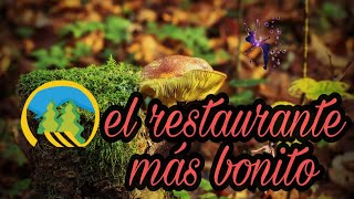 RESTAURANTE LA ESCONDIDA (el restaurante más bonito de MÉXICO )