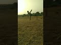 Cricket shorts  cricket viral youtubeshorts cricketer ipl batting bowling top