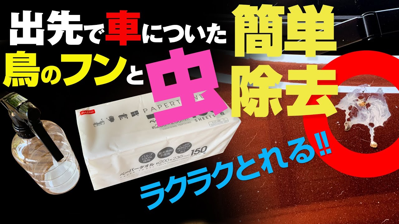 100均 Daiso ペーパータオル 車についた鳥のフンと虫を除去出先でも簡単除去 Daisoの商品でやってみた Youtube