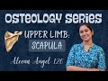 Scapula Osteology Explained | First MBBS Anatomy|CRACK THE BONE