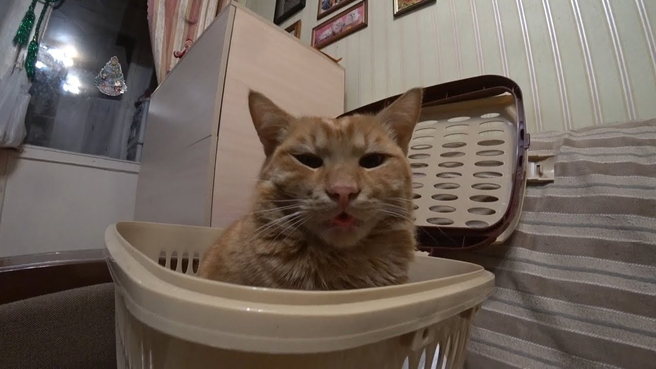 Посылки, которые я не раскарябал, подъёмник и токарка