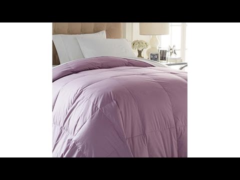 concierge-collection-platinum-100%-cotton-down-comforter