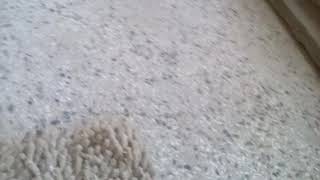 Xacah N Fapdnh - 370.Bölüm